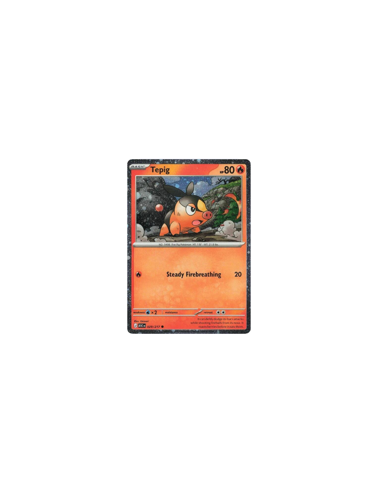 029/217 - Tepig - Cosmos Holo - Near Mint