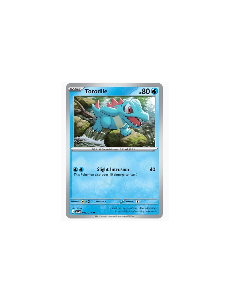 041/217 - Totodile - Normal - Near Mint