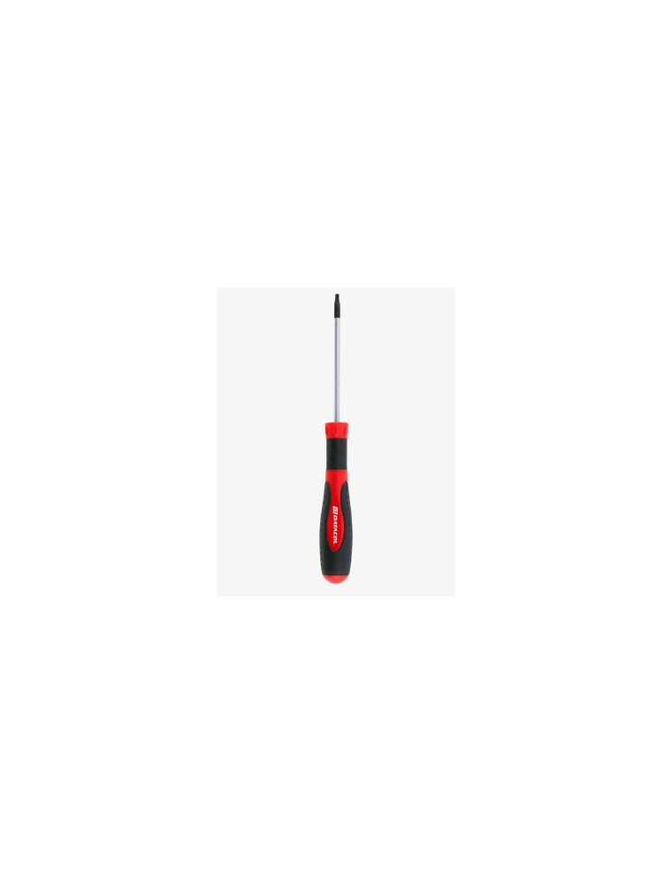 Datacol - CACCIAVITE TORX T10X80MM