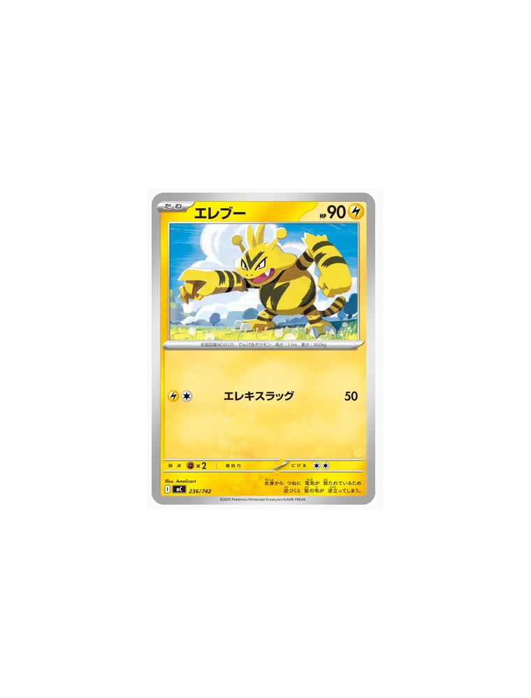 236/742 - Electabuzz - Normal - Near Mint